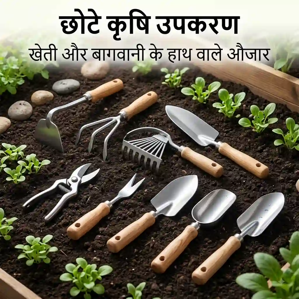 Seasonal Farm Produce मौसमी कृषि उपज